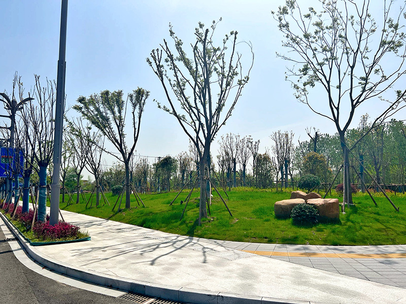 圖片關(guān)鍵詞 圖片關(guān)鍵詞