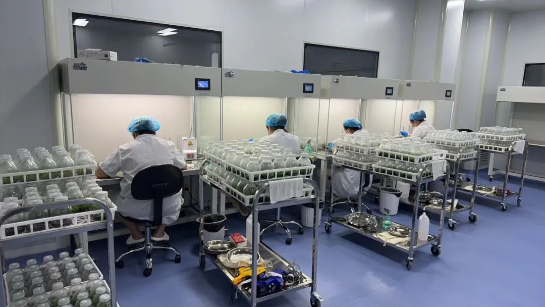 圖片關(guān)鍵詞 圖片