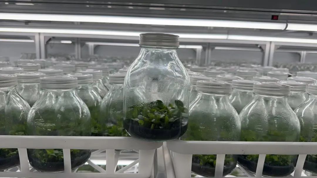 圖片關(guān)鍵詞 圖片